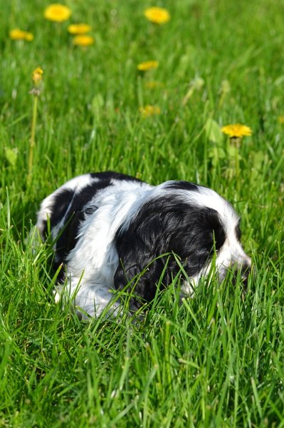 Vrh H a CH 13-Charlie.JPG